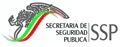 Secretaría de Seguridad Pública